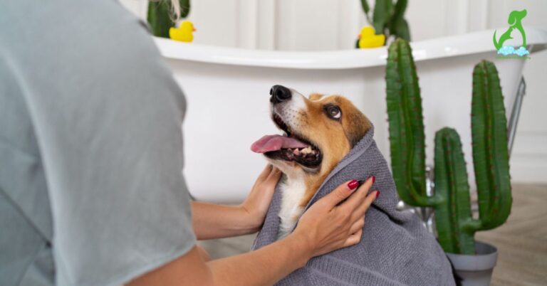 How Mobile Pet Grooming Works? A Professional Guide