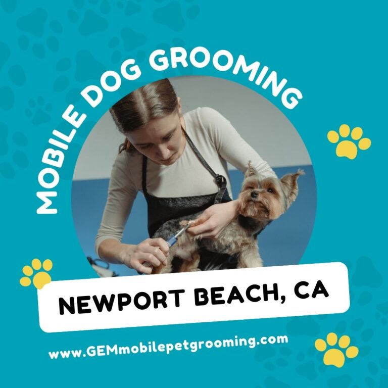 Dog Grooming Newport Beach: The Ultimate Guide for Pet Parents